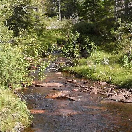 Vognbua Pa Gran * Snåsa