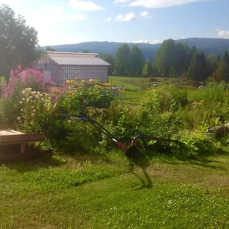 Vognbua Pa Gran Snåsa