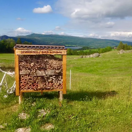 Vognbua Pa Gran * Snåsa